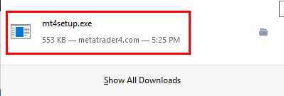 Downloaded MT4 installation file
